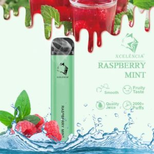 Gunnpod 2000 puffs - Raspberry Mint