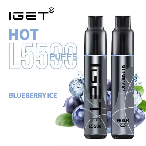 5500 Puff IGET HOT - Blueberry Ice