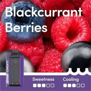 Waka SoPro 10000 Puffs - Blackcurrant Berries